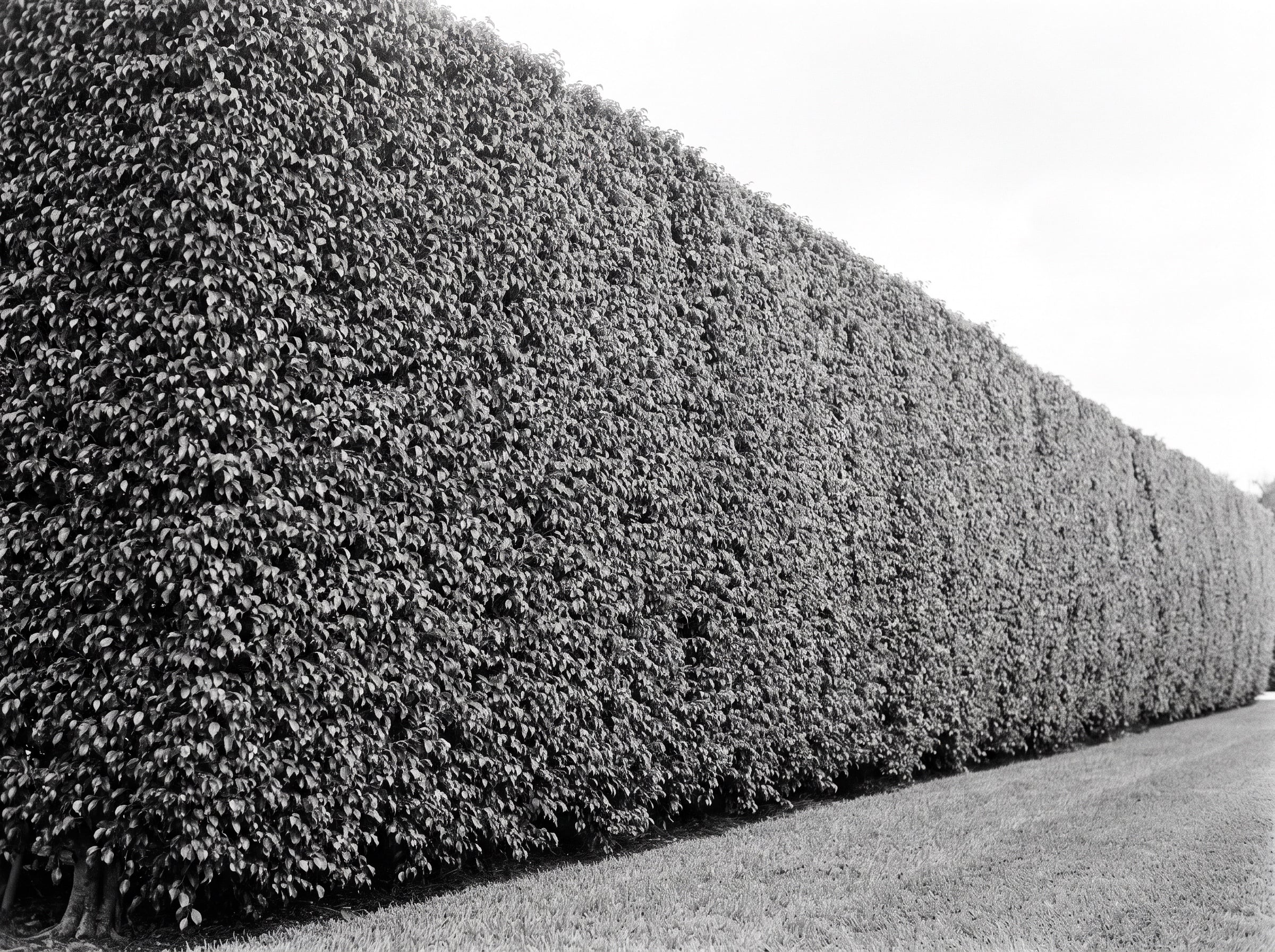 Palm Beach Off-Market Sales: The Market Behind the Hedges