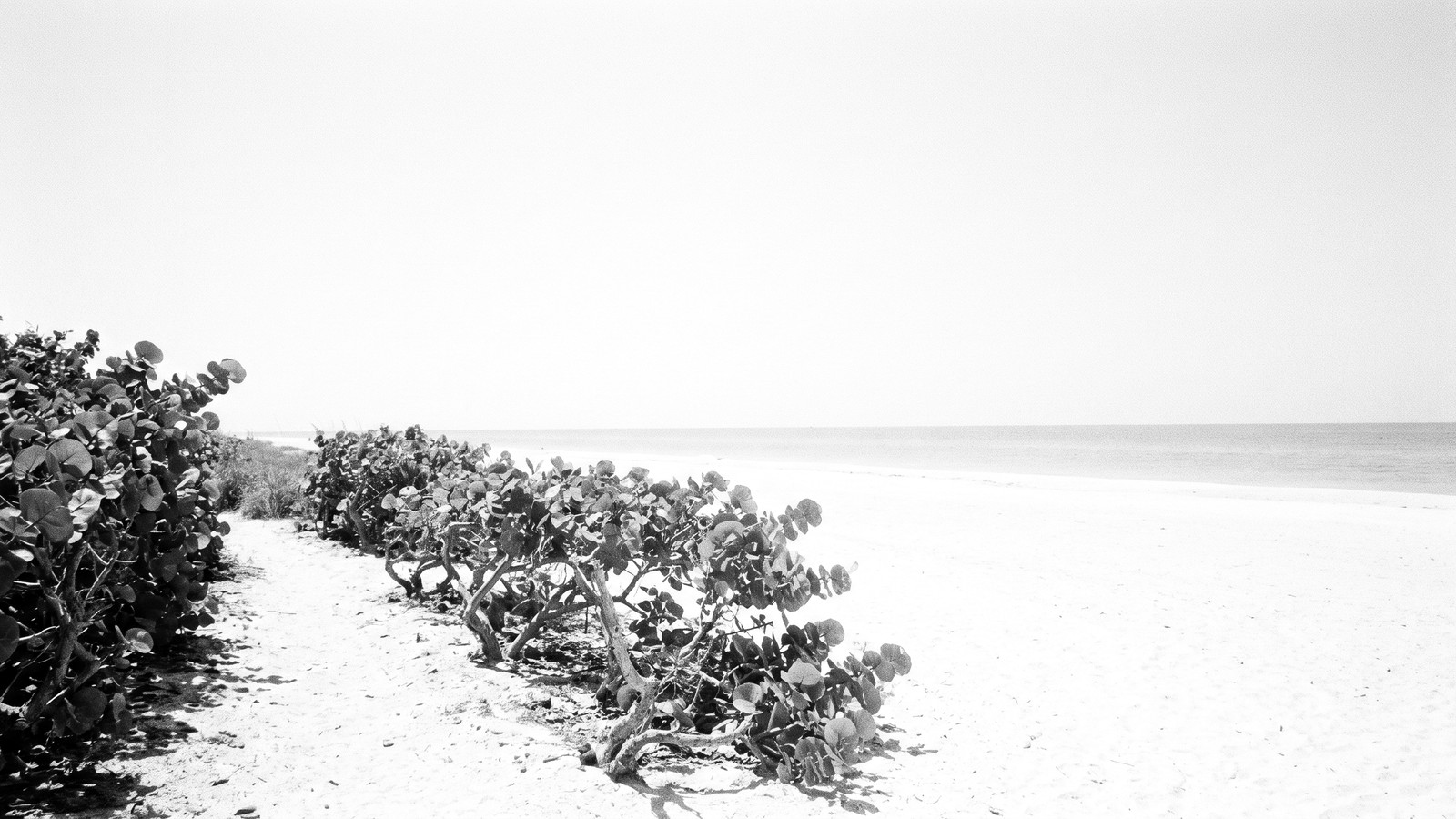 Singer Island Market Report: Q2 2026