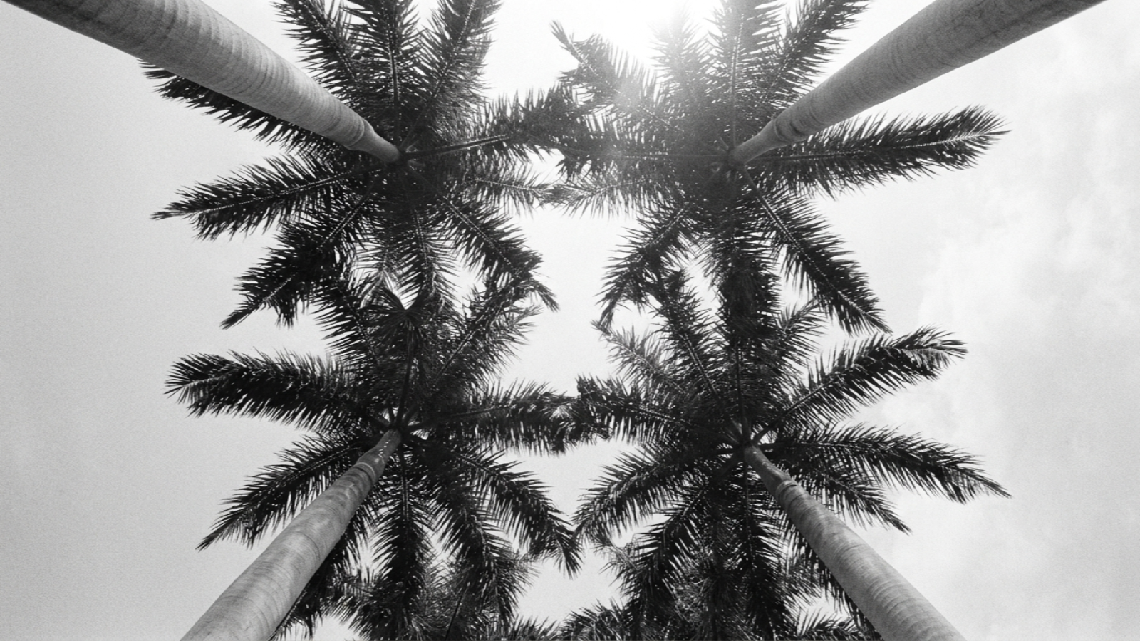 Same Price, Different Beach: Singer Island or Juno Beach