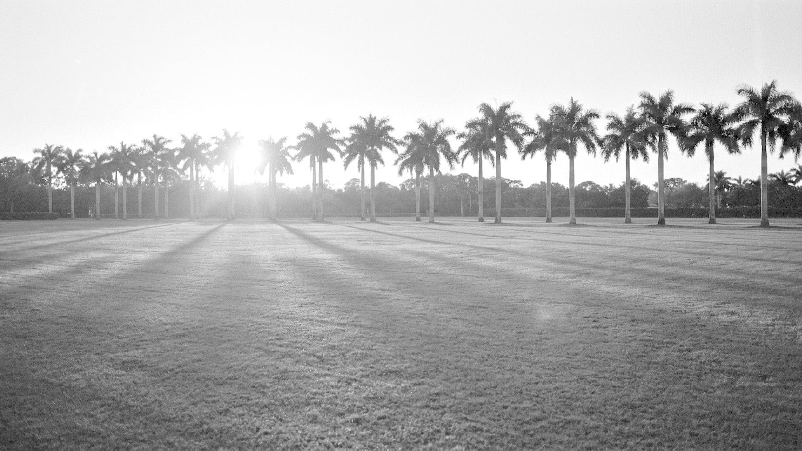 Wellington Polo 2026: Season Schedule, Teams, Tickets, and Equestrian Real Estate