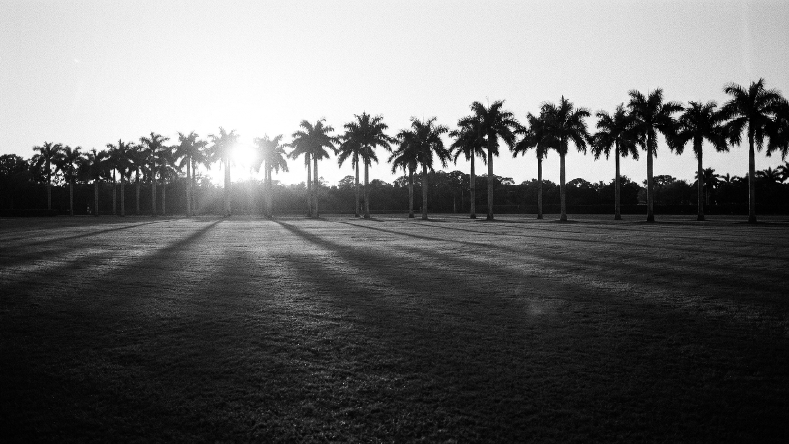 Wellington Polo 2026: Season Schedule, Teams, Tickets, and Equestrian Real Estate