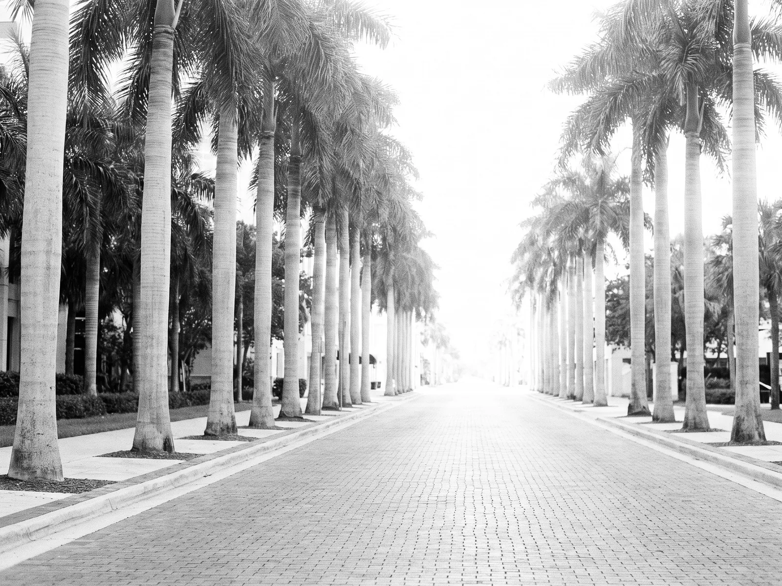 West Palm Beach