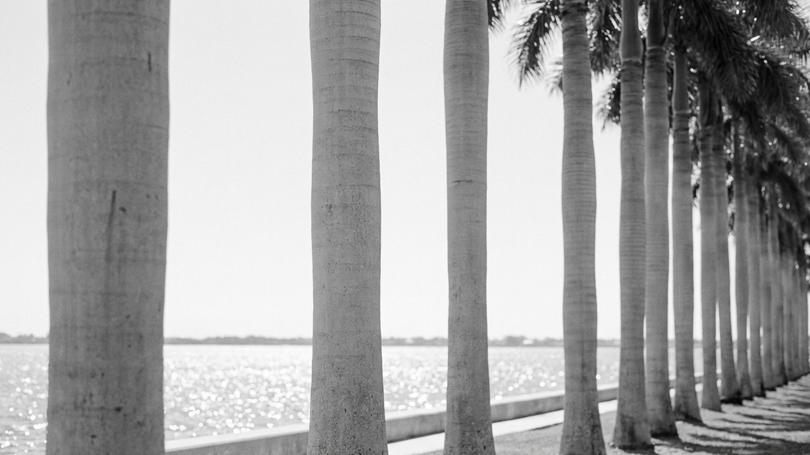West Palm Beach Market Report: Q2 2026