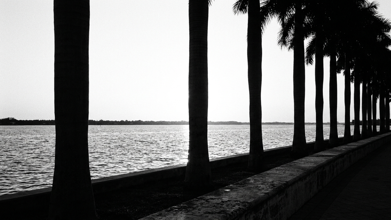 West Palm Beach as Wall Street South: The Financial Migration Reshaping the Market