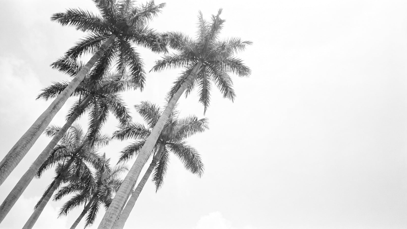 West Palm Beach as Wall Street South: The Financial Migration Reshaping the Market