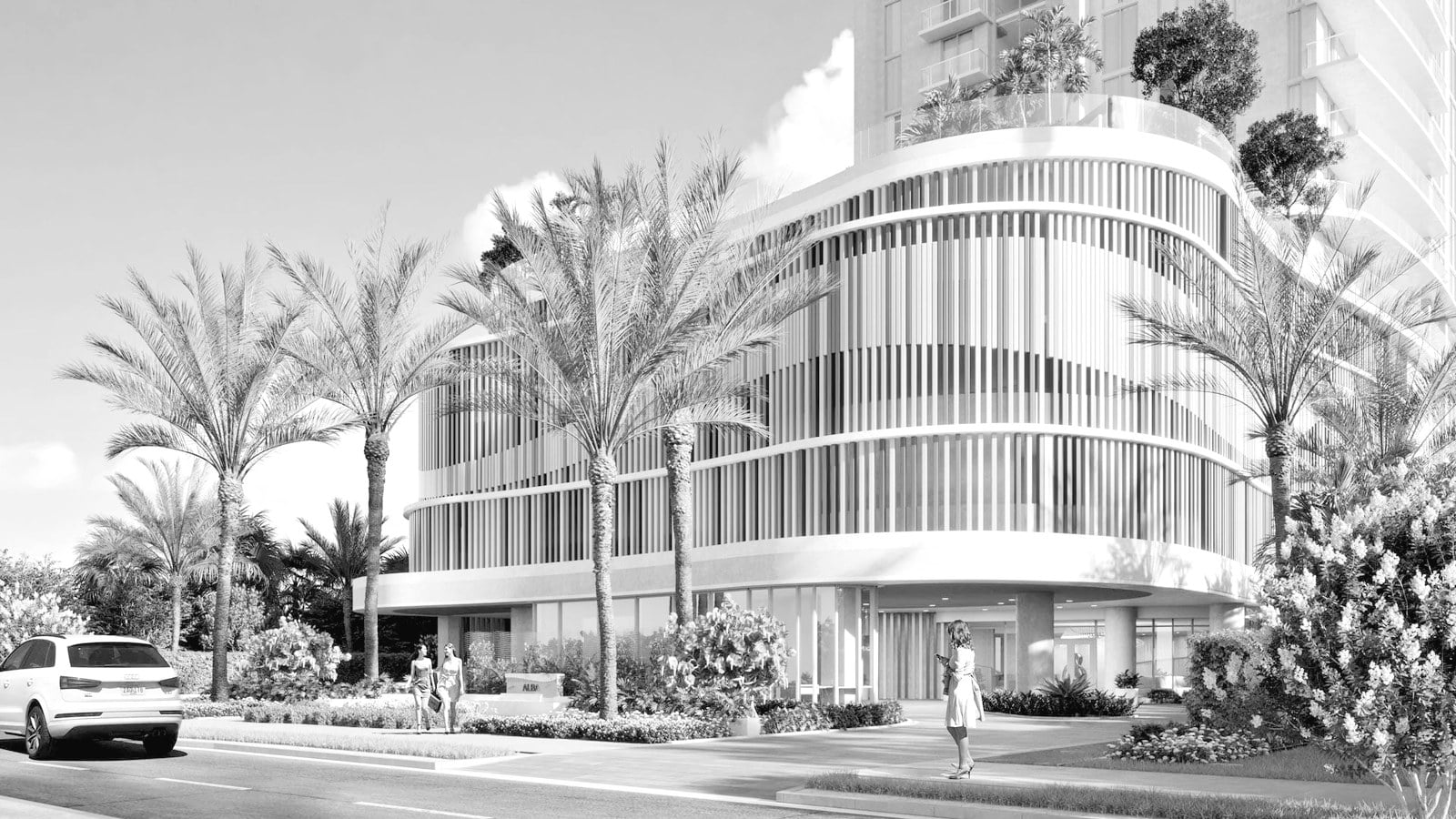 Sizing Up Alba Palm Beach