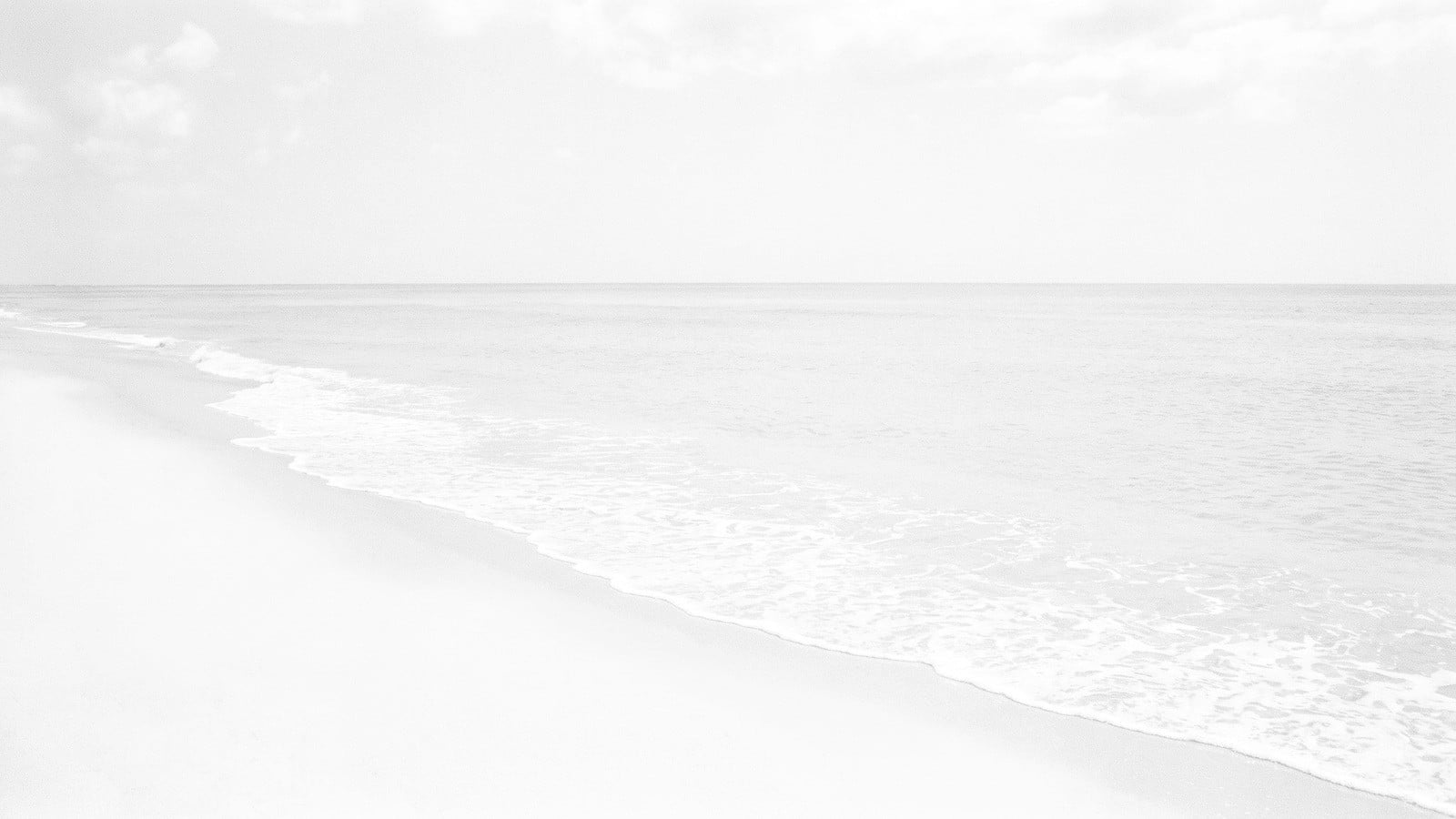 Palm Beach Begins in October