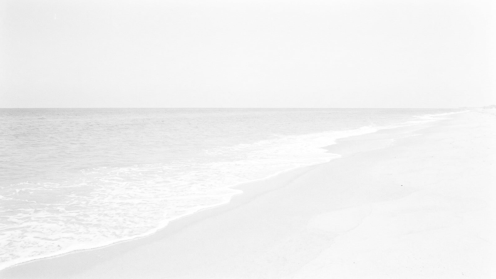 Before You Buy at One Thousand Ocean