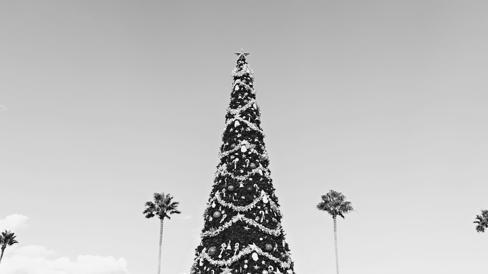 Christmas in Palm Beach