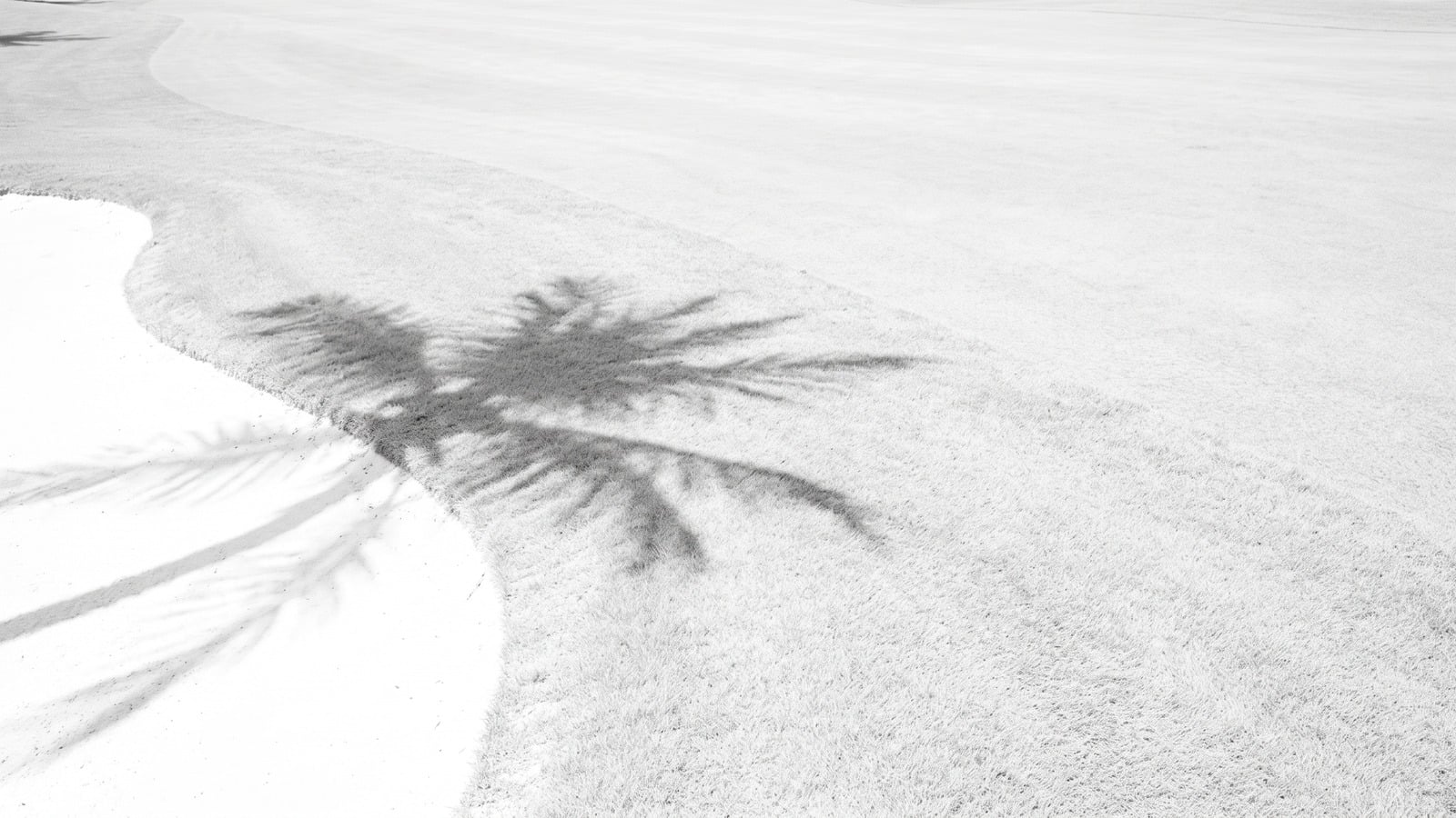 Is Palm Beach Gardens a Good Investment?