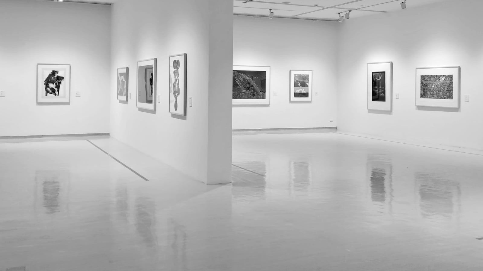 The Palm Beach Art Season Guide